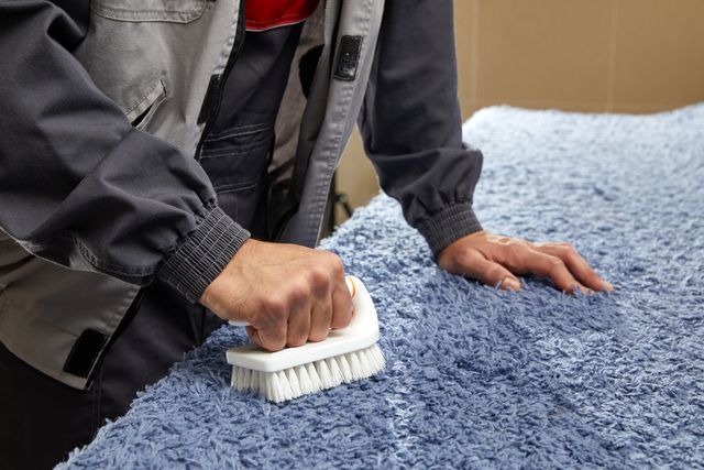 Как почистить ковролин в домашних условиях — чем быстро отмыть ковровое покрытие, влажная уборка
